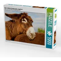 CALVENDO Esel - Seltene französische Langohren 1000 Teile Puzzle quer 640x480mm, Bölts Meike; 7459750