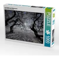 CALVENDO nach Süden zur Wintersonne 1000 Teile Puzzle quer 640x480mm, Loewa Bernhard; 7414890