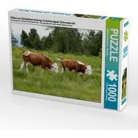 CALVENDO Kälber zur Grindenbeweidung im Nationalpark Schwarzwald 1000 Teile Puzzle quer 640x480mm, Goldscheider Stefanie; 7323508