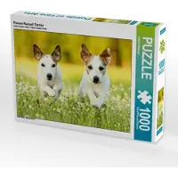 CALVENDO Parson Russell Terrier 1000 Teile Puzzle quer 640x480mm, Köntopp Kathrin; 7404300