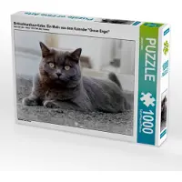 CALVENDO Britischkurzhaar-Katze. Ein Motiv aus dem Kalender`"Graue Engel" 1000 Teile Puzzle quer 640x480mm, ; 7456078