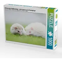 CALVENDO Afrikanischer Weißbauchigel - nicht immer nur ein Einzelgänger 1000 Teile Puzzle quer 640x480mm, und Marina Zimmermann Fotograf; 7458301