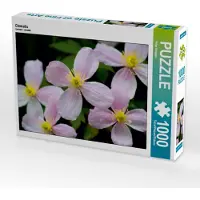 CALVENDO Clematis 1000 Teile Puzzle quer 640x480mm, Hebgen Peter; 7350189