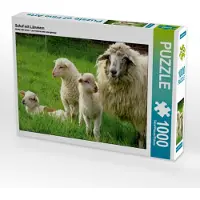 CALVENDO Schaf mit Lämmern 1000 Teile Puzzle quer 640x480mm, N N; 7450550