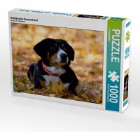 CALVENDO Entlebucher Sennenhund 1000 Teile Puzzle quer 640x480mm, ; 7290746