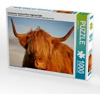 CALVENDO Schottisches Hochland Rind, Highland Cattle 1000 Teile Puzzle quer 640x480mm, Cross Martina; 7302452
