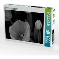 CALVENDO Tulpenblüten in schwarz/weiss 1000 Teile Puzzle quer 640x480mm, Reuke Sabine; 7382102