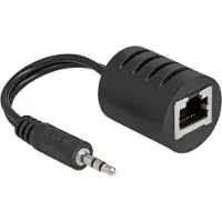 DeLOCK Stereo Audio Extender RJ45 Buchse zu 3,5 mm Klinke bis 50 m