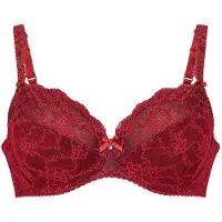 Anita Bügel-BH "Bügel BH Bobette", Damen, Gr. 105, Cup E, rot (rubin), Spitze, Obermaterial: 76% Polyamid PA. 13% Polyester PES. 11% Elasthan EL., BHs Bügel-BH