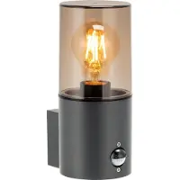 Lockweiler SALVIA Wandleuchte, Gartenleuchte mit PIR-Sensor, E27, IP54, grau
