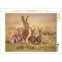 CALVENDO Puzzle. Sanfte Farben, zarte Formen – Hasen in Pastelltönen. | 2000 Teile, fertige Größe: 90 x 67 cm | Fotopuzzle für entspannte Stunden