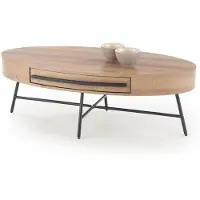 Feldmann-Wohnen Couchtisch Carolina Wohnzimmertisch 120x60x41cm Eiche Gold schwarz