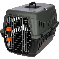 Kerbl Eco Haustiertransportbox Grün 58 x 38 x 38 cm Grün 58 x 38 x 38 cm