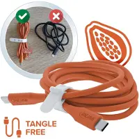 InLine USB 2.0 Kabel, USB-C Schnellladekabel 100W, Papaya / Orange 2m, 2 m, USB C, USB C, USB 2.0, 0,48 Gbit/s, Orange