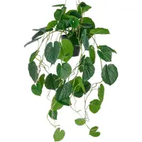 Creativ Green Kunstpflanze "Hängende Peperomia caperata", grün, H:70cm, Kunststoff, Kunstpflanzen, Kunstpflanze, mit üppigen Ranken