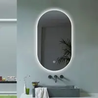 AHD Amazing Home Design Moderner ovaler hinterleuchteter Badezimmer Spiegel 50x80cm LED Lichter Konughs M