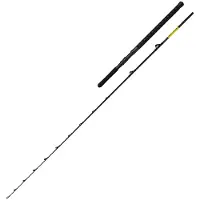 Shimano Fishing Beastmaster Cx Slim Bootsrute