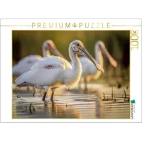 CALVENDO Puzzle Löffelreiher – weil gewöhnlich langweilig ist. | 1000 Teile Lege-Größe 64 × 48 cm Foto-Puzzle für glückliche Stunden