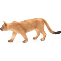 Animal planet Puma