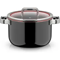 WMF FT Mineral Pro Pots Fusiontec Function Pro, Kochtopf mit Deckel, 24 cm, Black schwarz