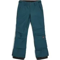 O'Neill Star Regular Hosen