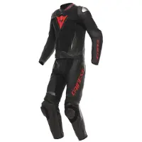 Dainese Demon Sprint Perf Lederkombi