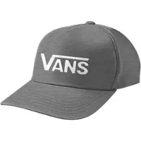 Vans Drop V Logo Snapback-cap