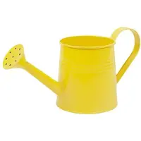 OEM Lang metallenes Sprinkler, 1 Liter Fassungsvermögen, ideal für Innen- und Außenbereich