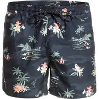 Quiksilver Scenic 15 Badeshorts