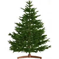 Jurhan Künstlicher Weihnachtsbaum FROST, 180 cm, grün
