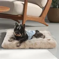 Bingopaw WISFOR Hundebett Waschbar rutschfeste Unterseite, Flauschig Hundekissen Hundematte, wasserfest Hundesofa Bezug abnehmbar M: 76x51x10 cm, Beige