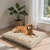 Bingopaw WISFOR Orthopädisch Hundebett Hundesofa Hundecouch Hundekissen große Hunde Schlafplatz, wasserfest waschbar Bezug abnehmbar 2XL: 120x90x12 cm, Beige