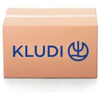 Kludi -Ersatzteil Griffset 35100/ 35101