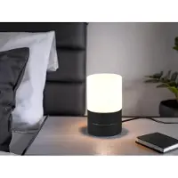 Meine Wunschleuchte Kleine LED Tischlampe Silber mit Glasschirm Weiß per touch dimmbar, Schwarz 15cm