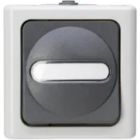 Kopp 560656006 BLUE ELECTRIC - Universalschalter (Aus-/Wechsel), Farbe: grau