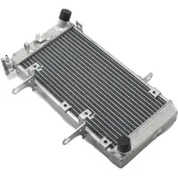 OEM Motor-Kühler, Hochleistungsfähig, Langlebiges Aluminium, DL1000 V-Storm 02-12