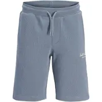 Jack & Jones Gordon Archive Sportshorts