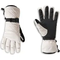 Dare 2b Dare2b Wmnsummitglove grey morn (0FZ) L