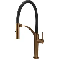 Deante Kitchen faucet with flexible spout - 2 types of spray