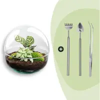 Urbanjngl Diy Terrarium - Kuppel - ↕ 20 Cm