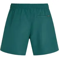 O'Neill Badeshorts "LOGO 16'' SWIMSHORTS", Herren, Gr. S, N-Gr, grün (botanical heat), Obermaterial: 100% Polyester, Badehosen Badeshorts, mit Seiten- und Gesäßtaschen