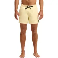 Quiksilver Boardshorts "Everyday Solid Volley 15", Herren, Gr. L, beige (straw), Obermaterial: 100% Polyester., Hosen Boardshorts
