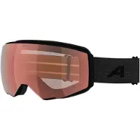 Alpina - Granby S V S1-3 - Skibrille braun