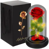 Ruhhy Rose im Glas - leuchtendes 25682