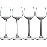 Villeroy & Boch Champagnerglas "Grappagläser Purismo Specials 50 ml 4er Set transparent", bunt (transparent), B:5,4cm H:15,2cm Ø:5,4cm, Glas, Trinkgefäße, Champagnerglas, Spülmaschinenfest