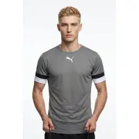 Puma Teamrise Trikot Kurzarm Herren - Grau