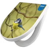 Banjado WC Sitz mit Absenkautomatik D Form Motiv Blaumeise im Baum [TDW3 12828]