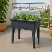 Dynamic24 Balkon Hochbeet + Deckel Gewächshaus Frühbeet Kräuterbeet Treibhaus Pflanzkasten