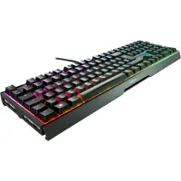 Cherry XTRFY MX 3.1, Kabelgebunden, USB, Mechanischer Switch, QWERTZ, RGB-LED, Schwarz