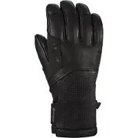 Dakine Kodiak Gore-tex T1-r Handschuhe